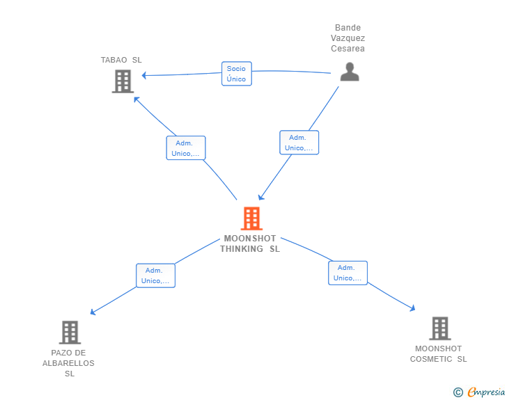 Vinculaciones societarias de MOONSHOT THINKING SL