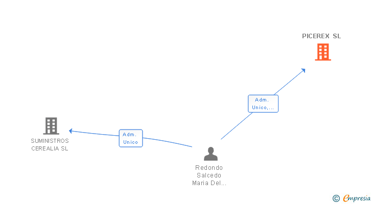 Vinculaciones societarias de PICEREX SL