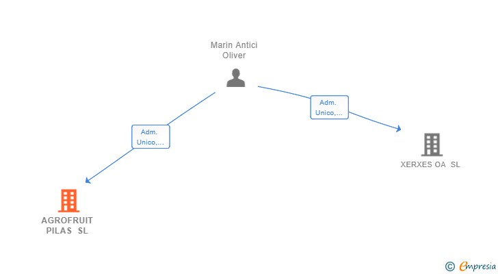 Vinculaciones societarias de AGROFRUIT PILAS SL