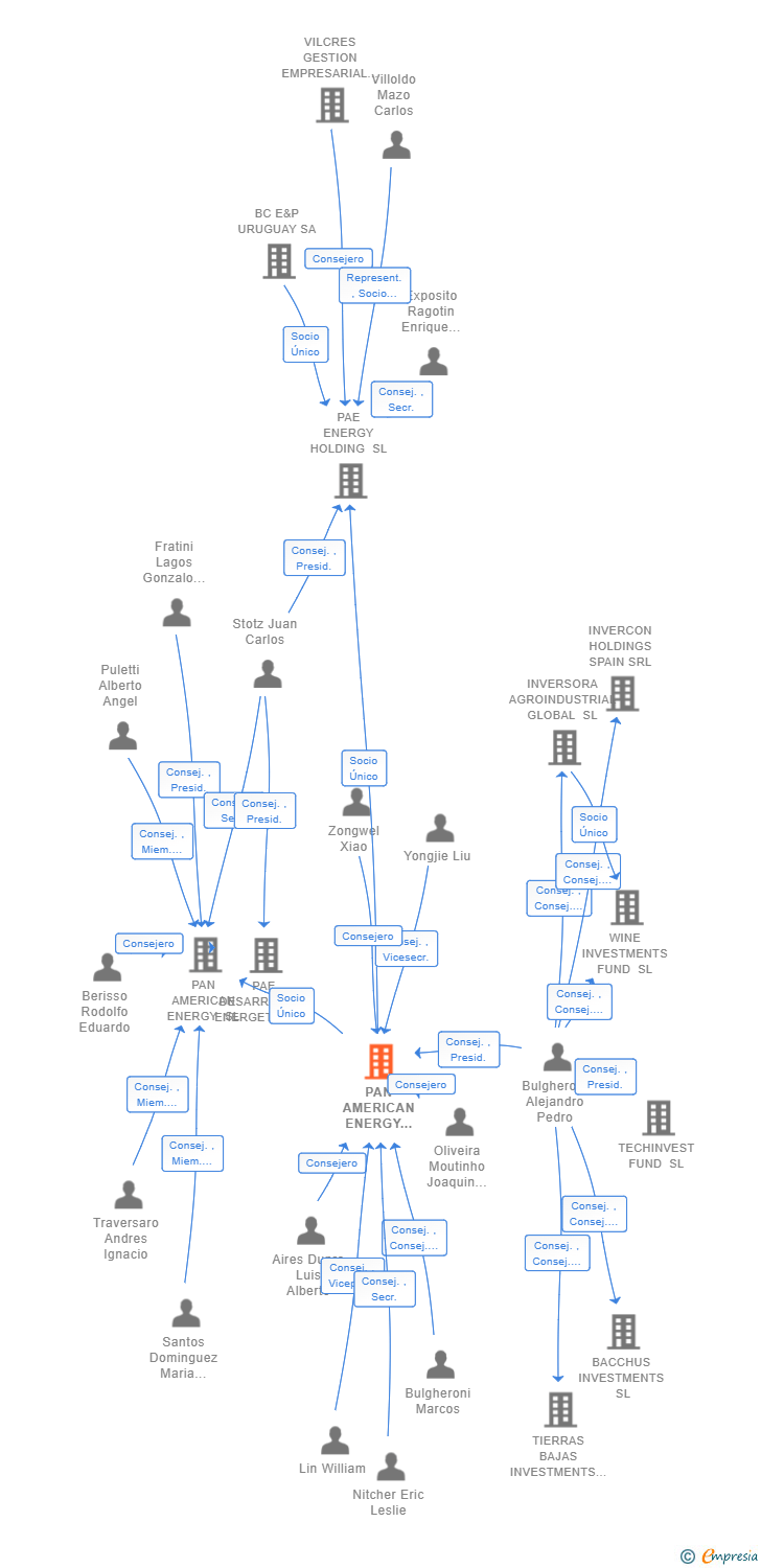 Vinculaciones societarias de PAN AMERICAN ENERGY GROUP SL