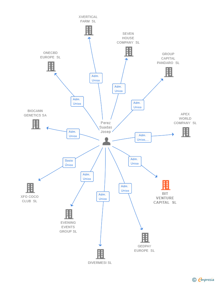 Vinculaciones societarias de BIT VENTURE CAPITAL SL