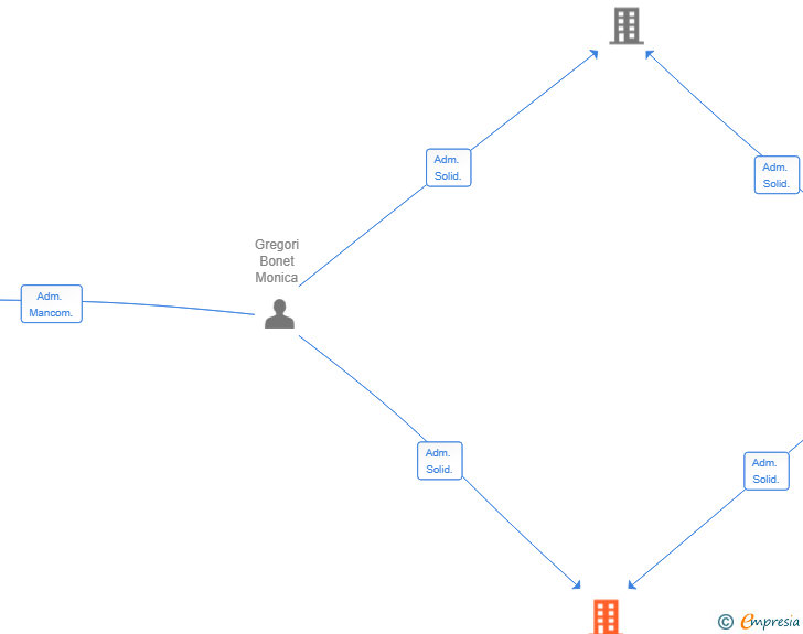 Vinculaciones societarias de BERTOM 360 SL