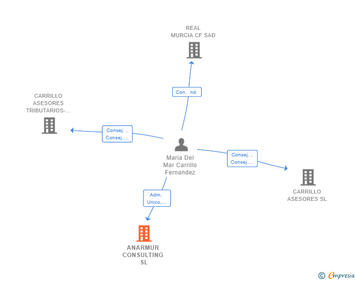 Vinculaciones societarias de ANARMUR CONSULTING SL
