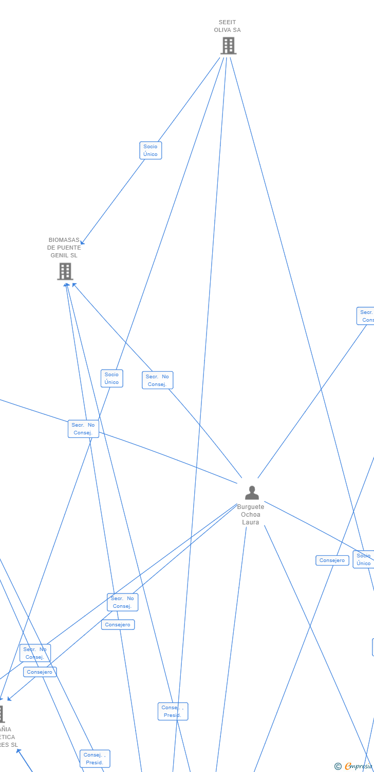 Vinculaciones societarias de SEEIT ENERGIA SL