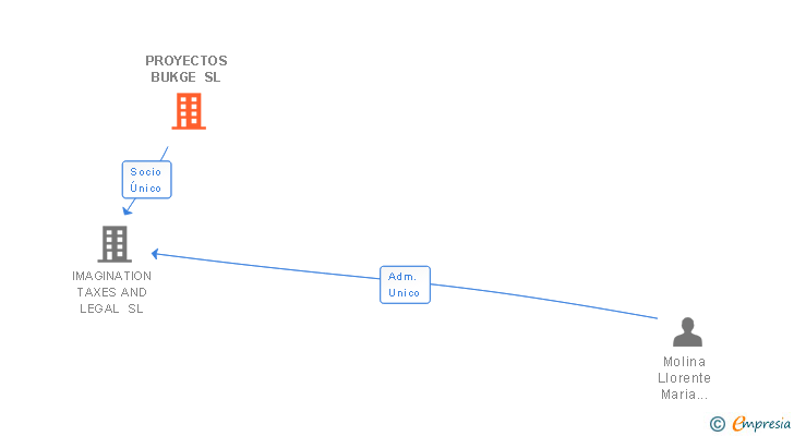 Vinculaciones societarias de PROYECTOS BUKGE SL