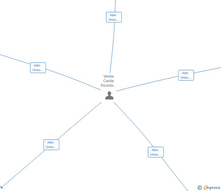 Vinculaciones societarias de VECTOR ORGANIZACIONAL SL
