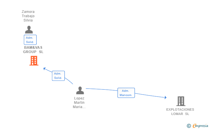 Vinculaciones societarias de BAM&VAS GROUP SL
