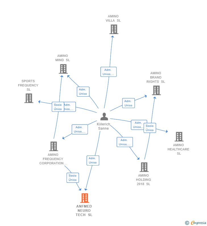 Vinculaciones societarias de ANFMED NEURO TECH SL