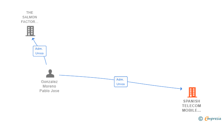 Vinculaciones societarias de SPANISH TELECOM MOBILE SERVICES SL