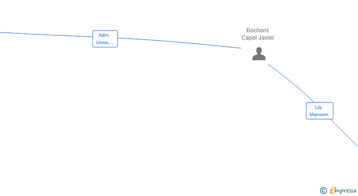 Vinculaciones societarias de JAVIER BOCHONS SRL