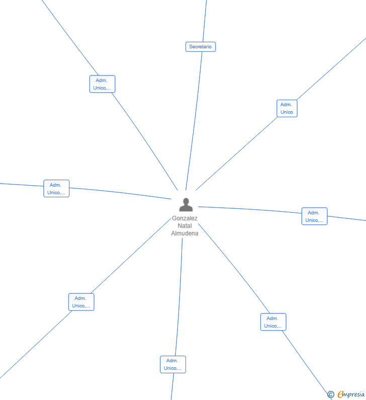 Vinculaciones societarias de MSP NUVO SL