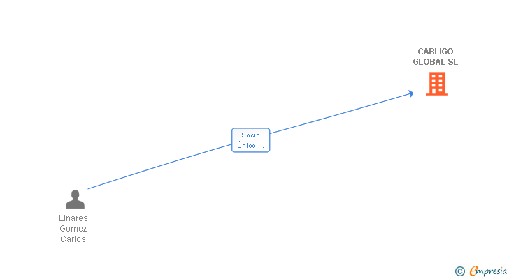 Vinculaciones societarias de CARLIGO GLOBAL SL
