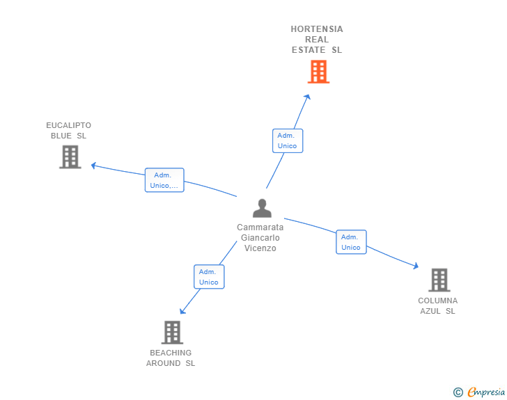 Vinculaciones societarias de HORTENSIA REAL ESTATE SL