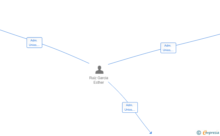Vinculaciones societarias de CASH CONTROL SOLUTION SL