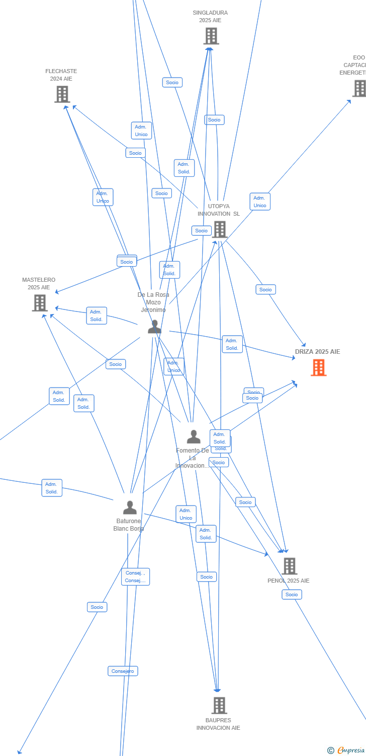 Vinculaciones societarias de DRIZA 2025 AIE