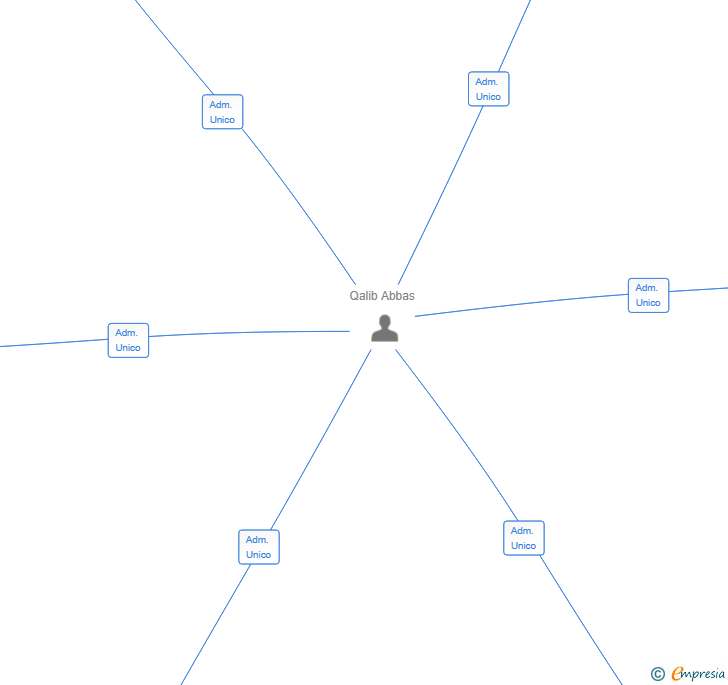 Vinculaciones societarias de INFORMATICA ADAPTATIVA AVANZADA KALEPOLIN SL