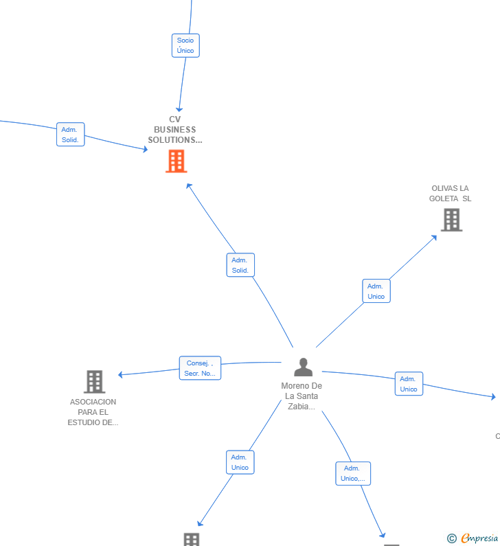 Vinculaciones societarias de CV BUSINESS SOLUTIONS SL