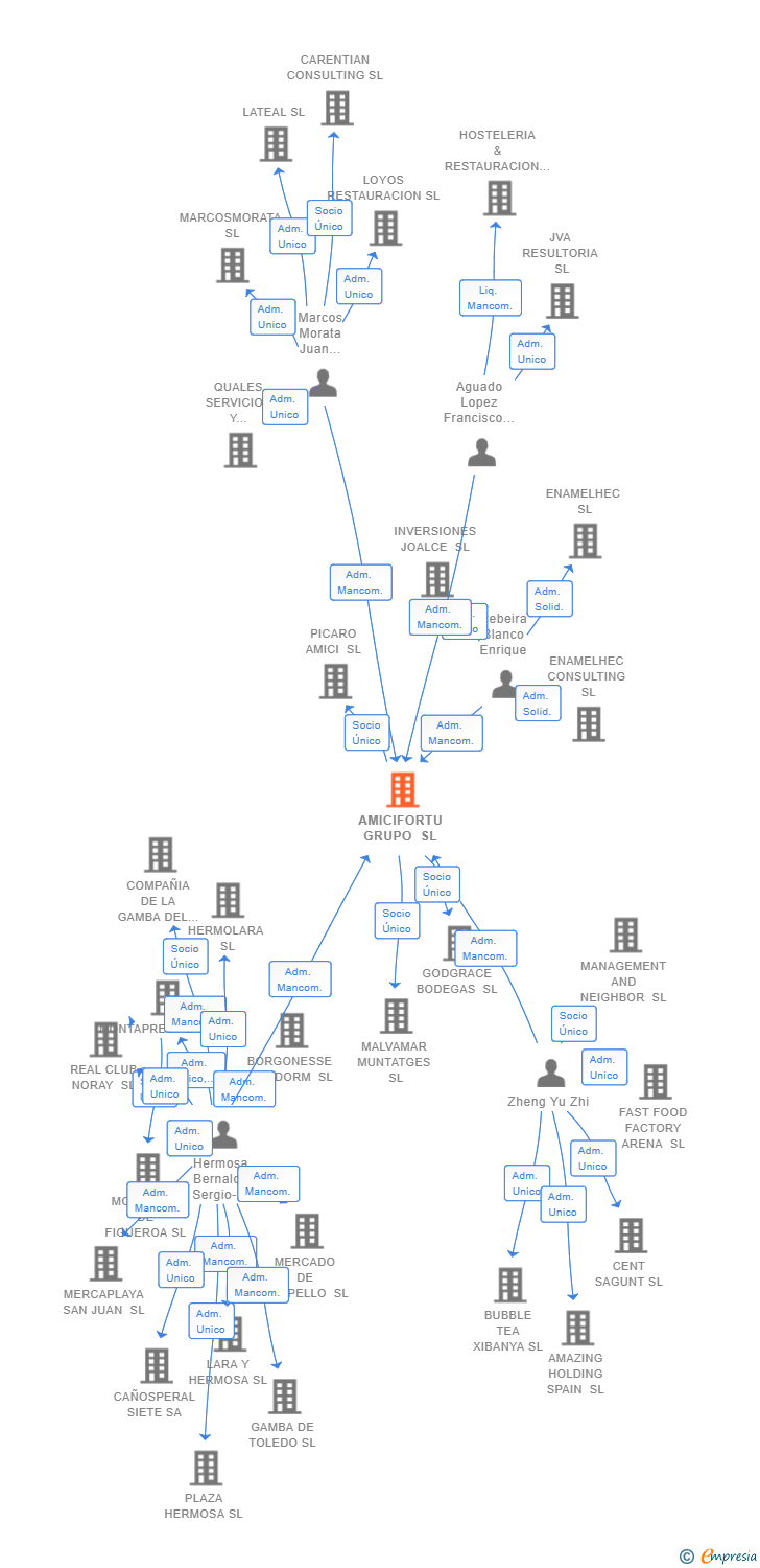 Vinculaciones societarias de AMICIFORTU GRUPO SL