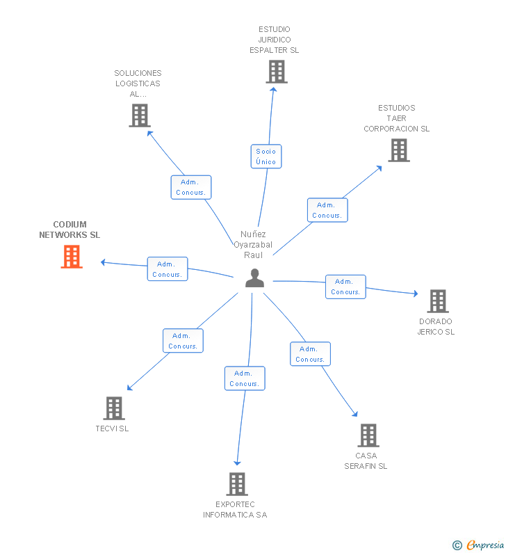 Vinculaciones societarias de CODIUM NETWORKS SL