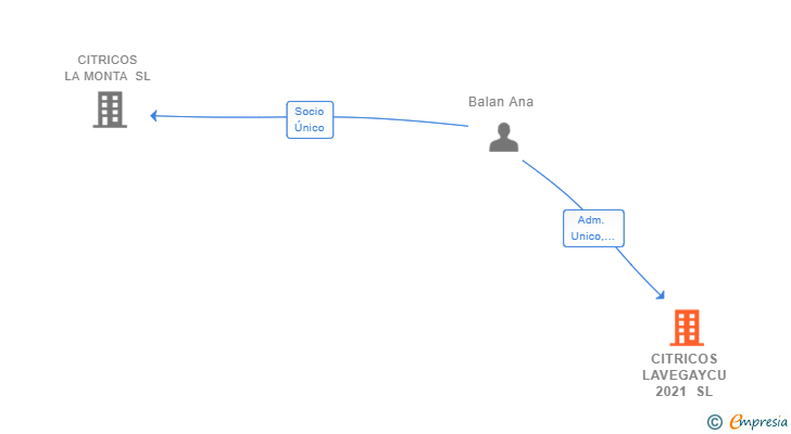 Vinculaciones societarias de CITRICOS LAVEGAYCU 2021 SL
