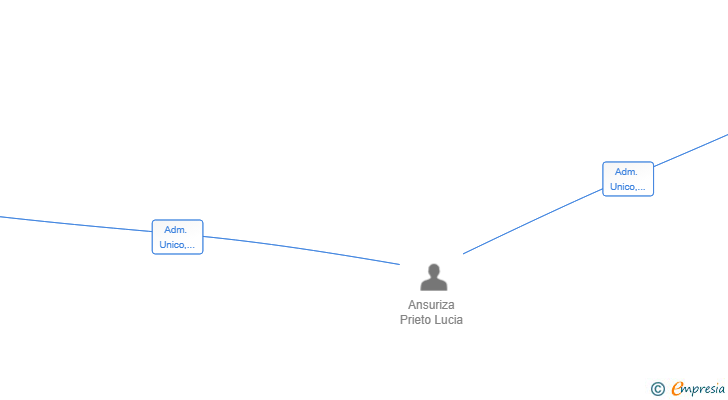 Vinculaciones societarias de IFECOM GO SL