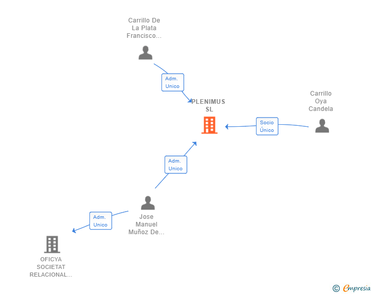 Vinculaciones societarias de PLENIMUS SL