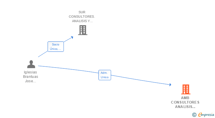 Vinculaciones societarias de AMB CONSULTORES ANALISIS Y GESTION DE PROYECTOS SL