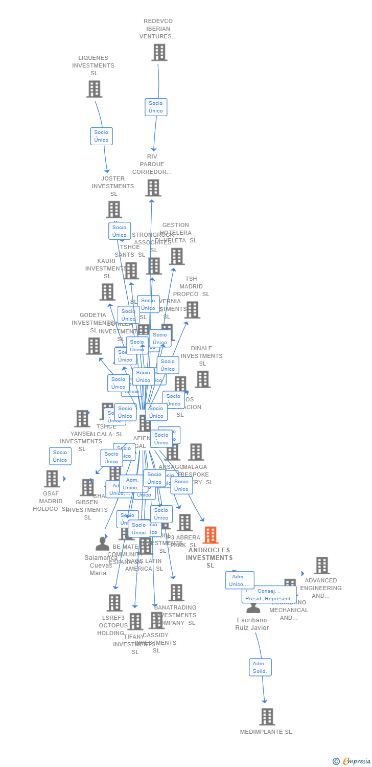 Vinculaciones societarias de ANDROCLES INVESTMENTS SL