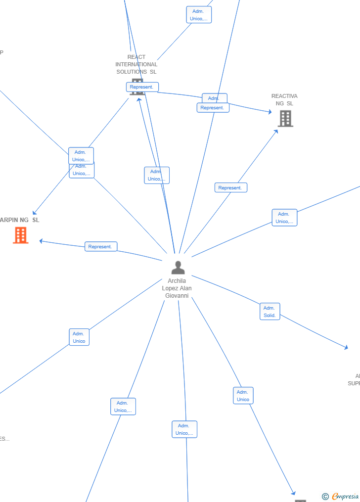 Vinculaciones societarias de ARPIN NG SL