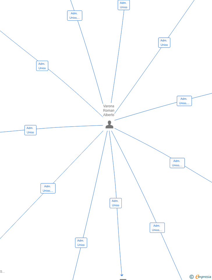 Vinculaciones societarias de SERVICIOS Y ACTIVIDADES MULTIPLES SL