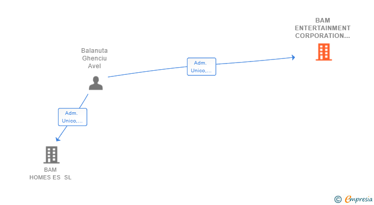Vinculaciones societarias de BAM ENTERTAINMENT CORPORATION MDES SL