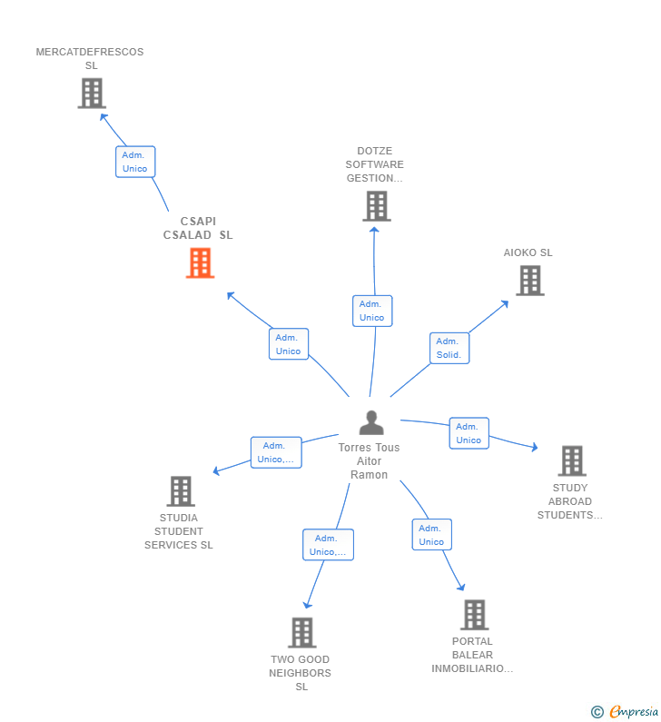 Vinculaciones societarias de CSAPI CSALAD SL