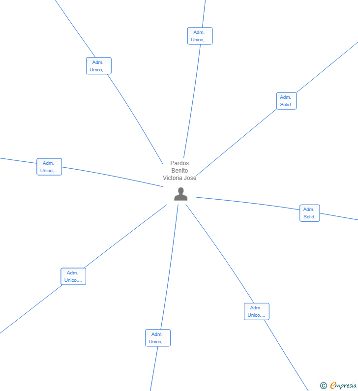 Vinculaciones societarias de CONSULTING PROFESIONAL AD HOC SL