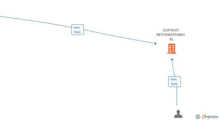 Vinculaciones societarias de GOFRUIT INTERNATIONAL SL