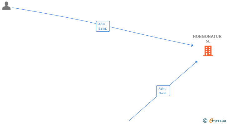 Vinculaciones societarias de HONGONATUR SL