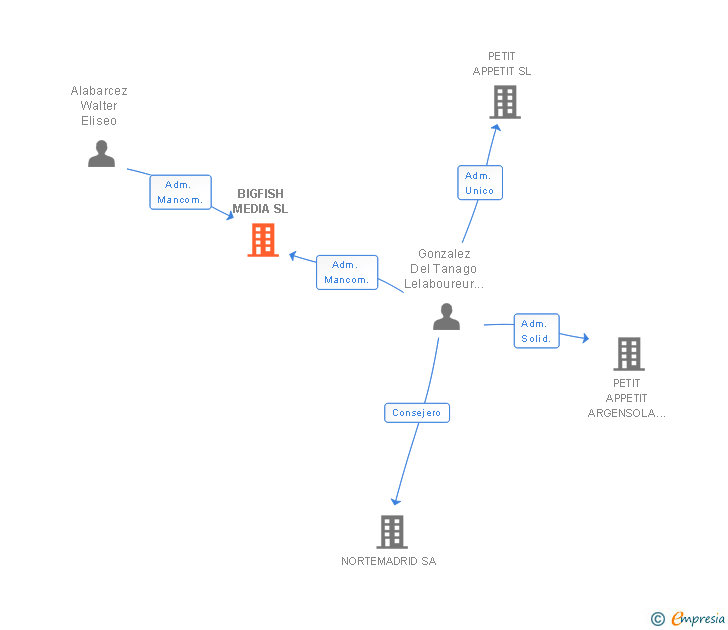 Vinculaciones societarias de BIGFISH MEDIA SL