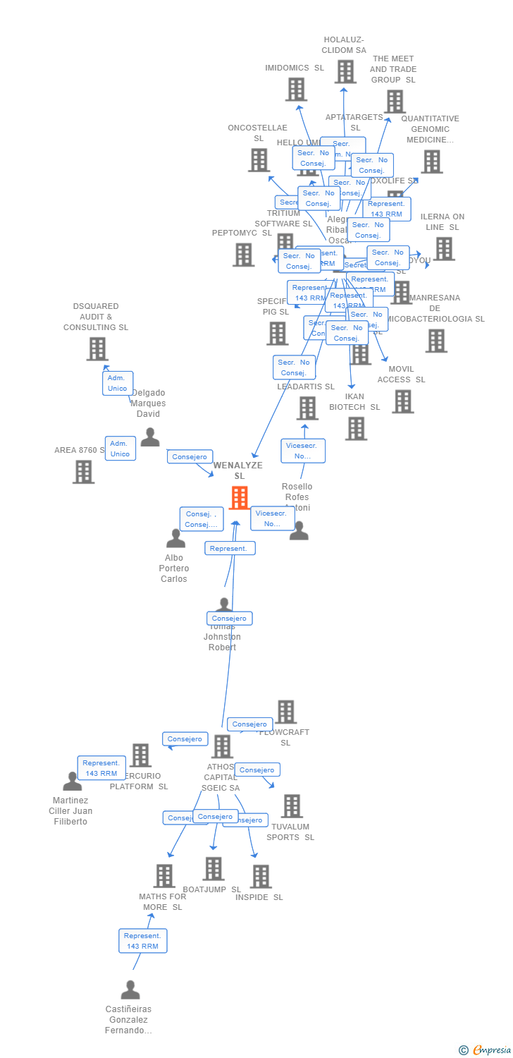 Vinculaciones societarias de WENALYZE SL