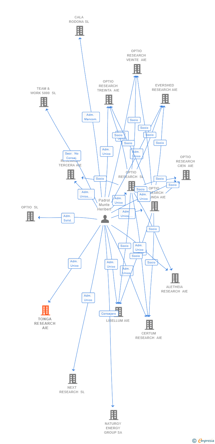 Vinculaciones societarias de TONGA RESEARCH AIE