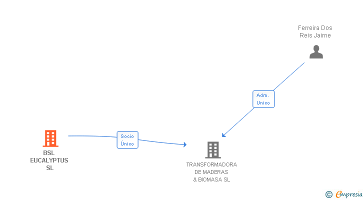 Vinculaciones societarias de BSL EUCALYPTUS SL