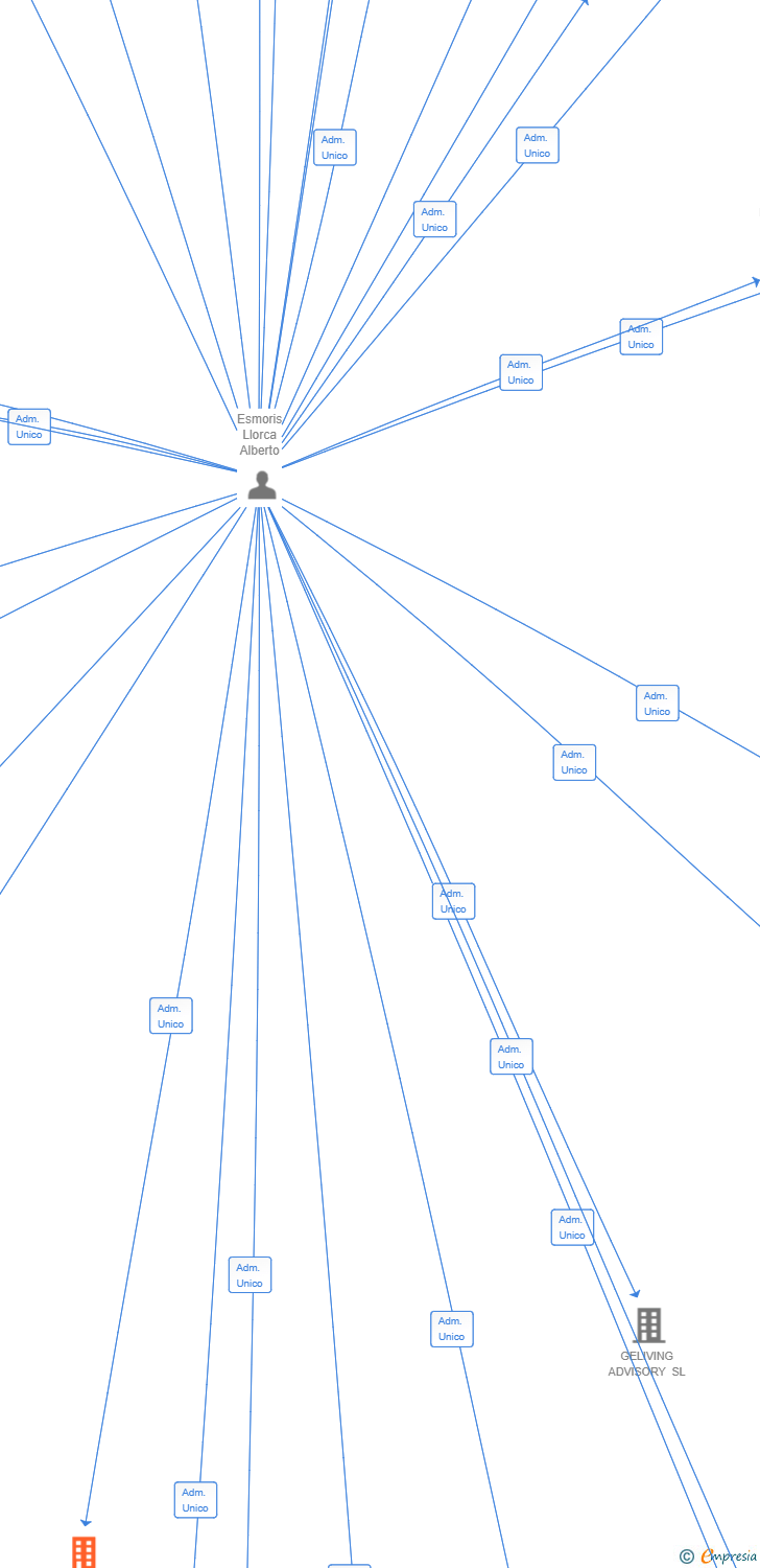Vinculaciones societarias de INSIGHT IMPACT SL
