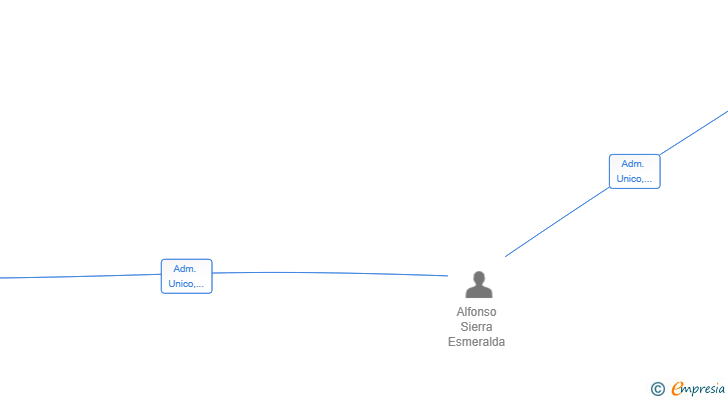 Vinculaciones societarias de ALIANZA GESTIONES PROFESIONALES SL