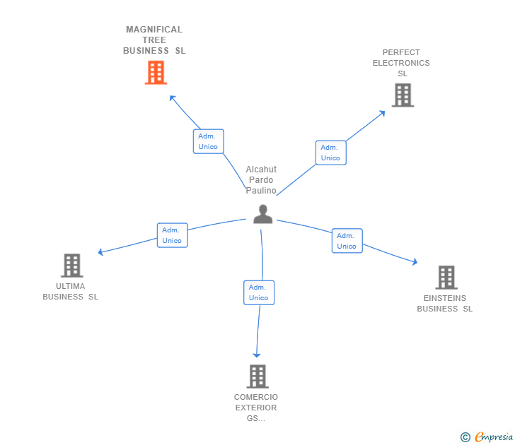 Vinculaciones societarias de MAGNIFICAL TREE BUSINESS SL
