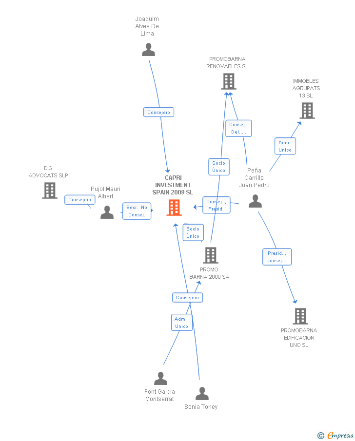 Vinculaciones societarias de CAPRI INVESTMENT SPAIN 2009 SL