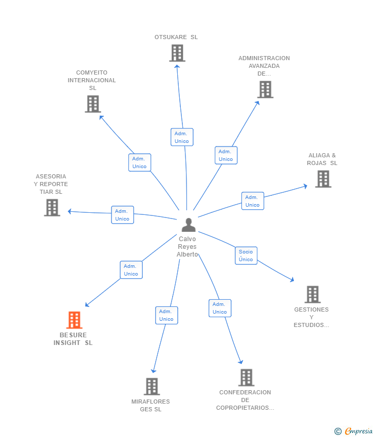 Vinculaciones societarias de BESURE INSIGHT SL (EXTINGUIDA)