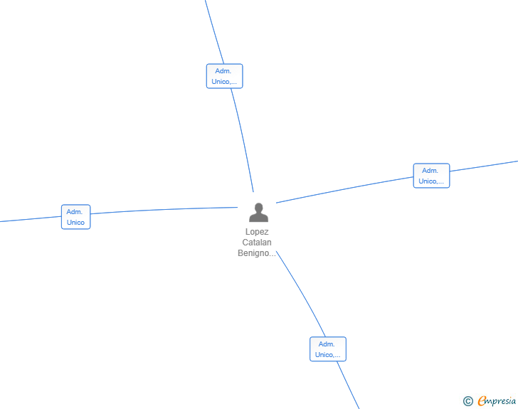 Vinculaciones societarias de GRUPO BENI SYNERGY SL