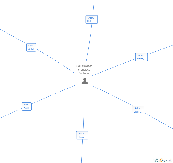 Vinculaciones societarias de MAXINGEN SL