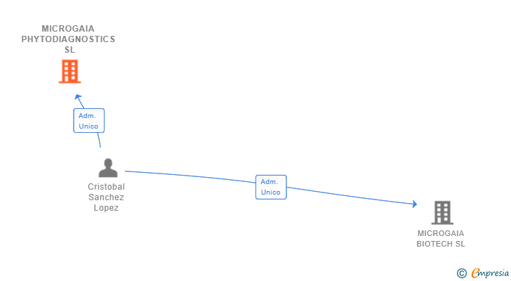 Vinculaciones societarias de MICROGAIA PHYTODIAGNOSTICS SL