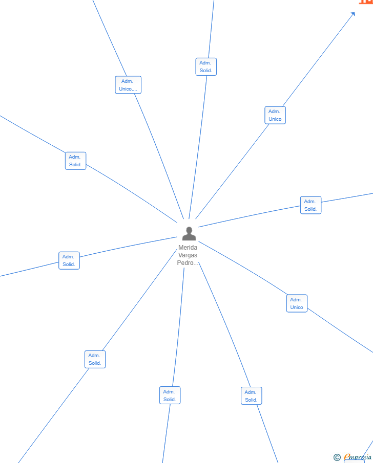 Vinculaciones societarias de INVERSIONES Y LOGISTICA TPG SL