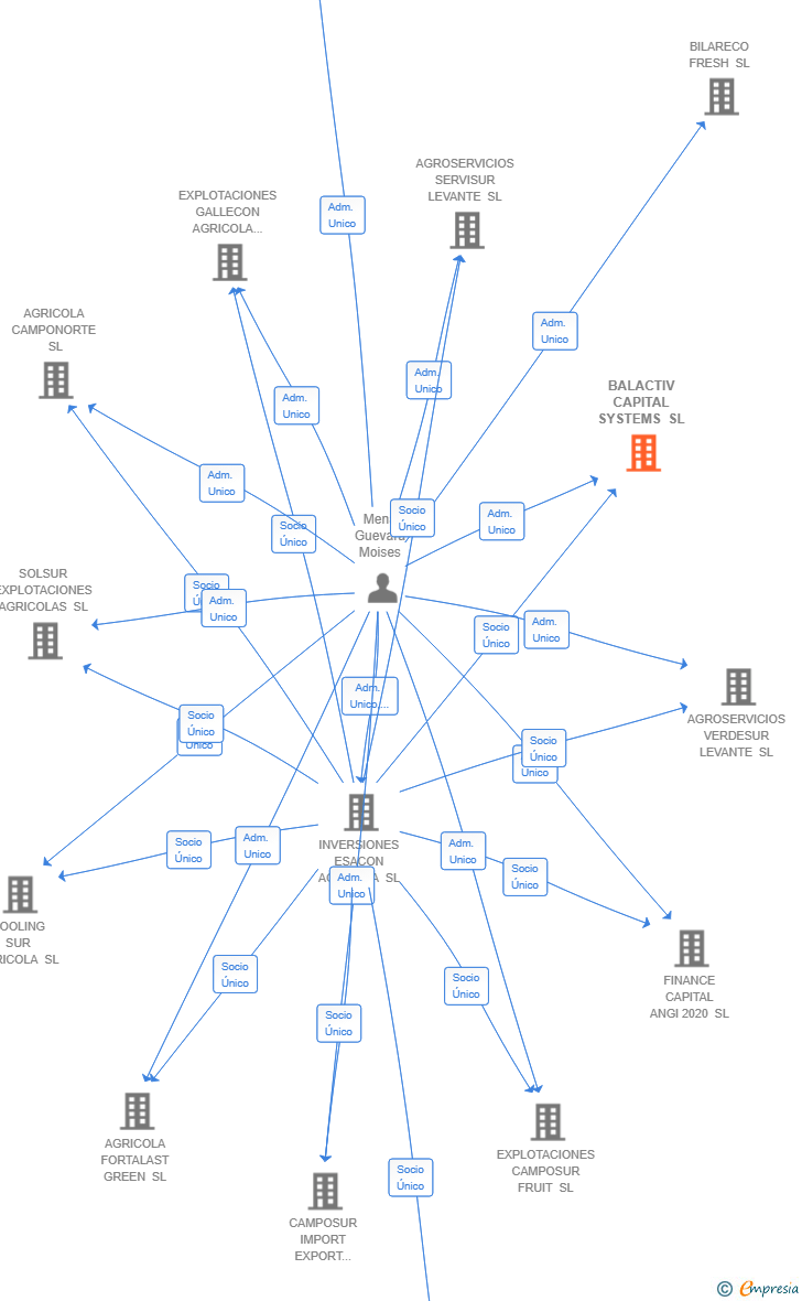 Vinculaciones societarias de BALACTIV CAPITAL SYSTEMS SL