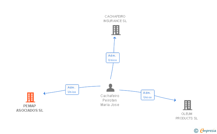 Vinculaciones societarias de PEMAP ASOCIADOS SL